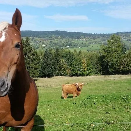 Chalet Nature Haute Vosges *