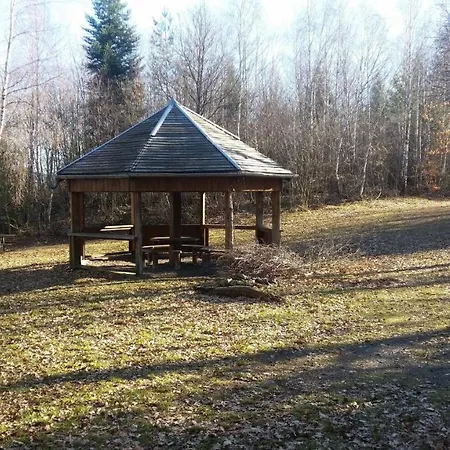 Nature Haute Vosges * Anould