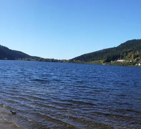 Chalet Nature Haute Vosges *