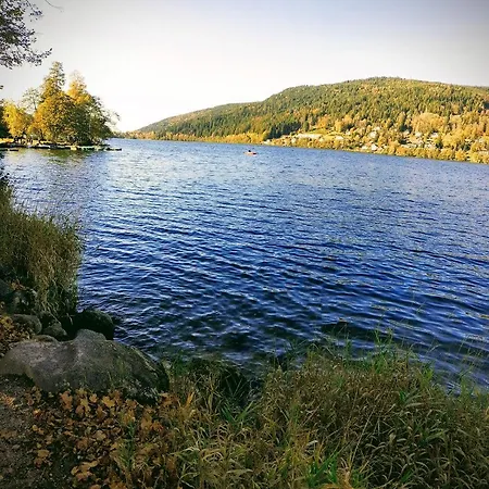 Nature Haute Vosges Chalet Anould