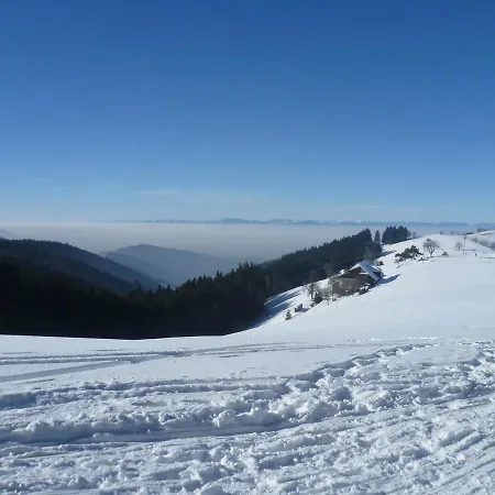 Nature Haute Vosges شاليه Anould