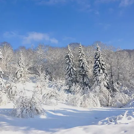 Chalet Nature Haute Vosges