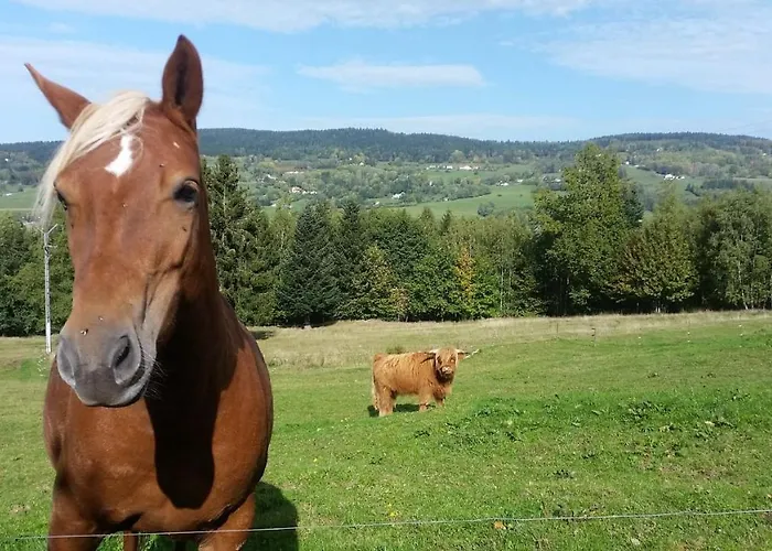木屋 Nature Haute Vosges *