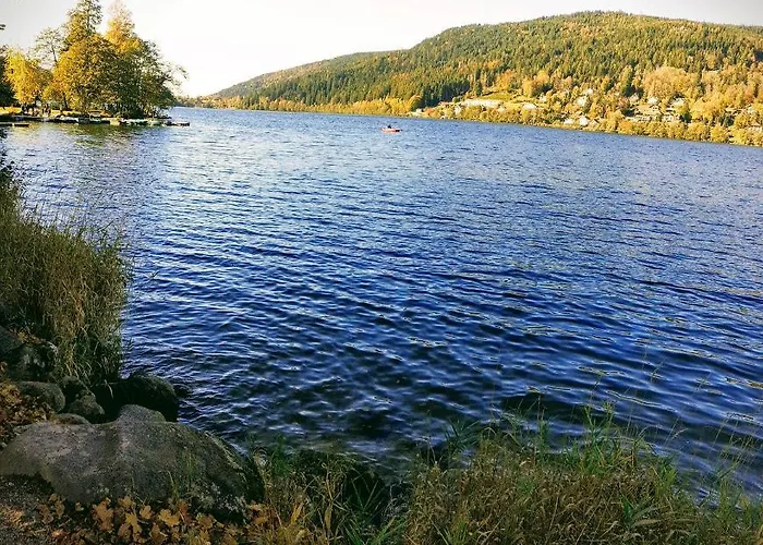 Nature Haute Vosges 木屋 Anould